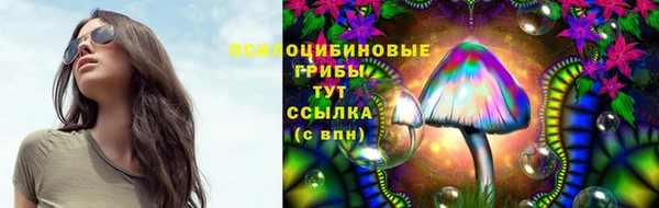 не бодяженный Няндома
