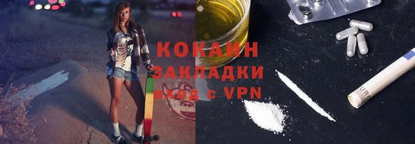 индика Абинск