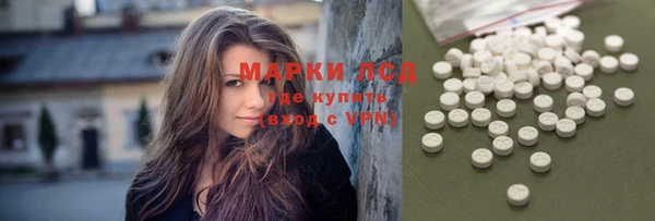 индика Абинск