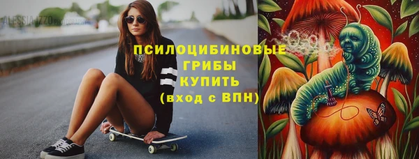 шишки Нязепетровск