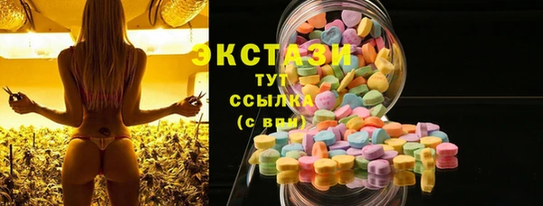 индика Абинск