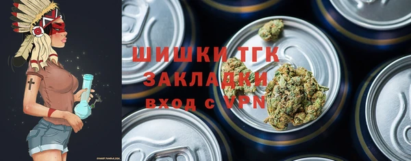 шишки Нязепетровск
