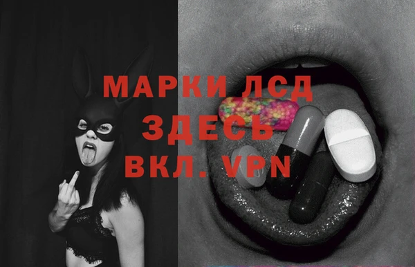 шишки Нязепетровск
