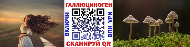 мега маркетплейс  Хилок  Псилоцибиновые грибы мицелий 